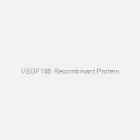 VEGF165 Recombinant Protein